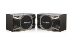 Loa karaoke Paramax D-1000