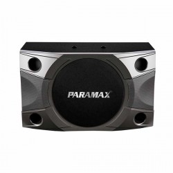 Loa karaoke Paramax P800