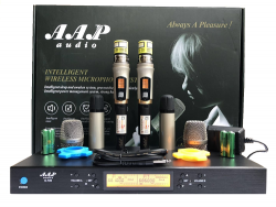 Micro karaoke AAP S 700