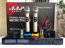 Micro karaoke AAP K-700